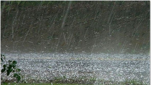 Thời tiết ngày 25/4: Nhiều nơi có mưa