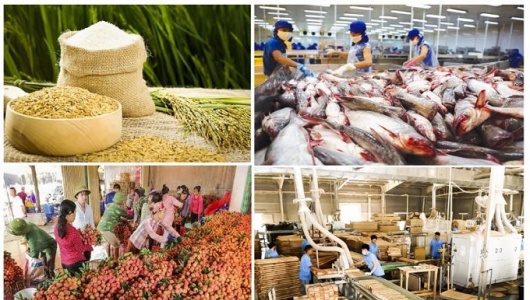 Xuất khẩu nông lâm thủy sản đạt 23 tỷ USD trong 4 tháng