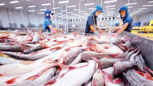 Ngành thủy sản tháo gỡ điểm nghẽn, hướng đến mục tiêu 12 tỷ USD