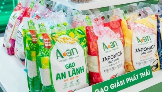 Xây dựng nhãn hiệu “Gạo Việt Xanh phát thải thấp”, nâng tầm hạt gạo Việt