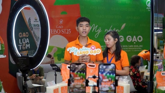 Thương mại điện tử bước vào chu kỳ phát triển bền vững, hướng đến mục tiêu 37 tỷ USD