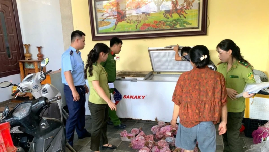 Thanh Hóa: Phát hiện 290 cá thể cò hương cấp đông chờ đưa đi tiêu thụ