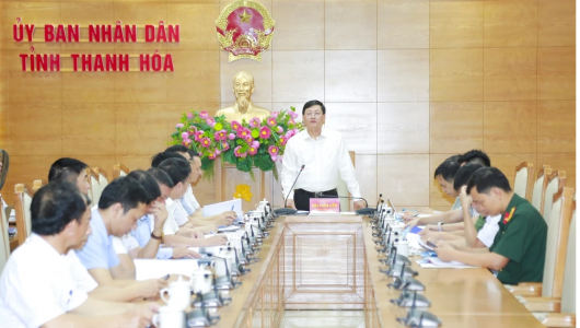 Thanh Hóa: Cần quan tâm đảm bảo hành lang lưới điện trong mùa mưa bão sắp tới 