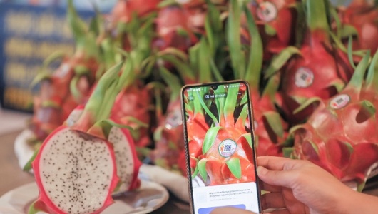 Truy xuất nguồn gốc nông sản: “Hạ tầng mềm” để bứt phá xuất khẩu bền vững