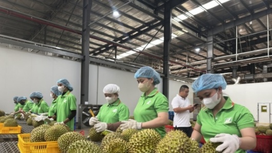 Nông sản Việt thích ứng Nghị định 280 và bài toán xuất khẩu 73 tỷ USD