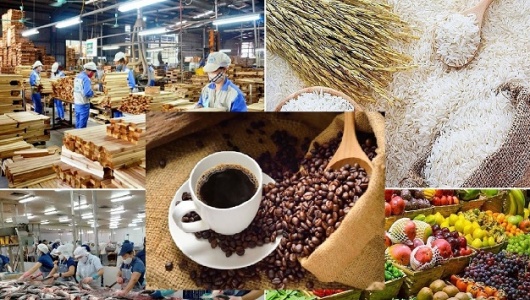 Xuất khẩu nông lâm thủy sản bứt phá mạnh, vượt mốc 30 tỷ USD