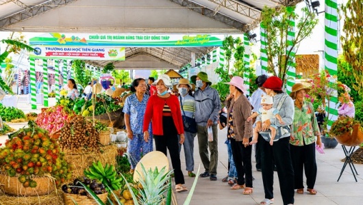 Lễ hội Trái cây Đồng Tháp thu hút 500.000 lượt khách, khẳng định vị thế 'Miền trái ngọt'