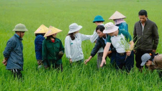 Từ 3,4 triệu hộ sản xuất giỏi, Hội Nông dân đặt mục tiêu hình thành 5.000 doanh nghiệp nông nghiệp