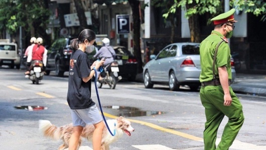 Từ 1/8, phạt tới 2 triệu đồng nếu dắt chó ra đường không rọ mõm