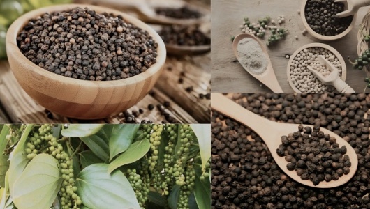 Xuất khẩu tăng tốc, doanh nghiệp hồ tiêu chủ động 'lá chắn' phòng ngừa rủi ro