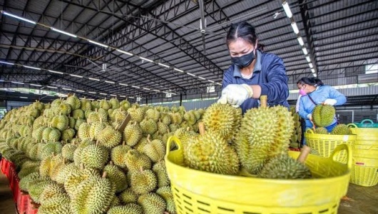 Nông sản Việt đối mặt những thách thức mới tại thị trường Trung Quốc 