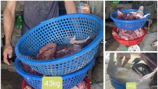 Thanh Hóa khởi tố 3 đối tượng mua bán, giết mổ lợn dịch bán ra thị trường