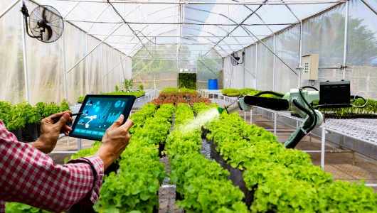 Phấn đấu đến năm 2030, cả nước có 500 tổ hợp tác ứng dụng công nghệ cao vào sản xuất