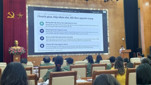 Trao quyền mạnh cho địa phương, đẩy nhanh tiến độ xử lý nhà, đất dôi dư sau sắp xếp