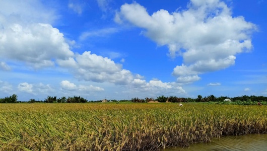 XãNguyễn Phích (Cà Mau): Khơi dậy nội lực, tạo đà phát triển toàn diện