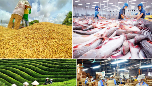 Ngành nông nghiệp và môi trường phải tiên phong chuyển đổi số