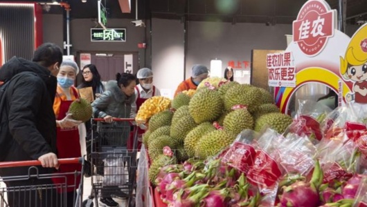 Trái cây Việt Nam ngày càng được ưu chuộng tại thị trường Trung Quốc