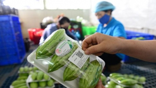 Bộ Công Thương tạm ngưng hiệu lực quy định truy xuất nguồn gốc thực phẩm đến hết 30/9