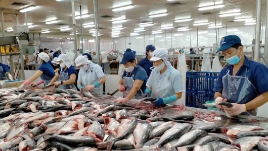 Lộ trình đưa xuất khẩu nông sản cán đích 100 tỷ USD vào năm 2027