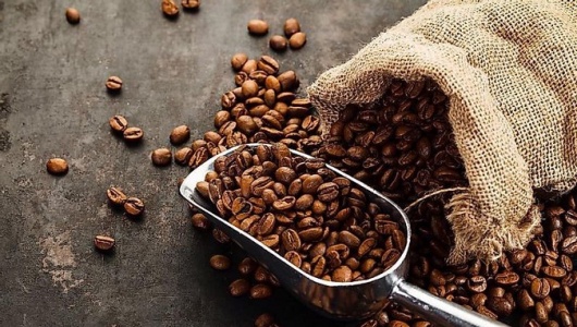 Minh bạch dữ liệu là “chìa khóa” để cà phê Việt vượt rào cản EUDR