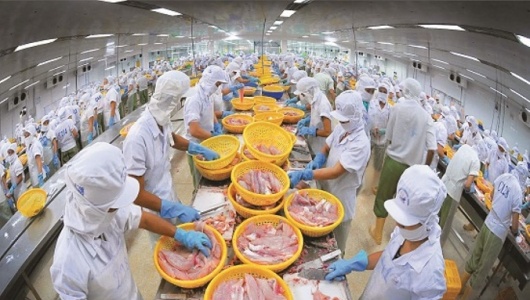 Ngành thủy sản Việt cần tháo gỡ 'điểm nghẽn' để bứt phá