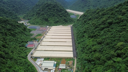 Điều tra làm rõ nguyên nhân nhiều người thương vong xảy ra tại trang trại lợn của Công ty Dabaco Thanh Hóa