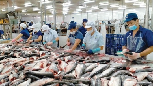 Xuất khẩu thủy sản khởi sắc, hướng tới mục tiêu 12 tỷ USD