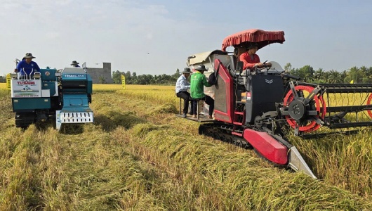 Thúc đẩy lúa gạo phát thải thấp, chìa khóa nâng tầm giá trị hạt gạo Việt