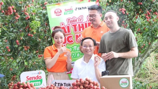 Bắc Ninh: Tiêu thụ vải thiều qua thương mại điện tử bứt phá, doanh thu đạt hơn 7.200 tỷ đồng