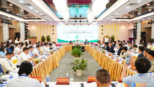 Đà Nẵng thúc đẩy hợp tác quốc tế, đưa sâm Ngọc Linh vươn tầm thương hiệu toàn cầu