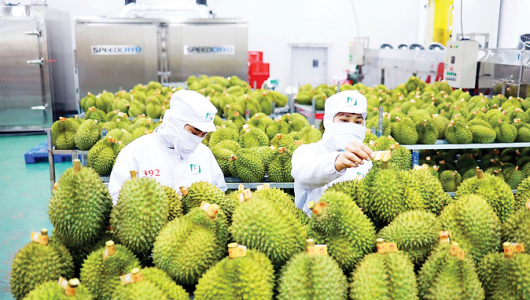 Hoàn thiện 'hạ tầng kỹ thuật' để xuất khẩu rau quả sang Trung Quốc bứt phá