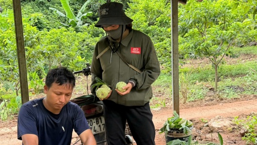 Na La Hiên, Thái Nguyên – Nâng tầm thương hiệu trên thị trường nông sản