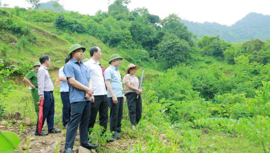Thanh Hóa: Nước suối Xủ chuyển màu bất thường, địa phương đề nghị xác định nguyên nhân 