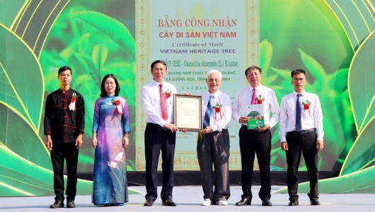 Quảng Ninh: Khai mạc lễ hội “Trà Đường Hoa” và đón Bằng công nhận Cây chè Di sản Việt Nam