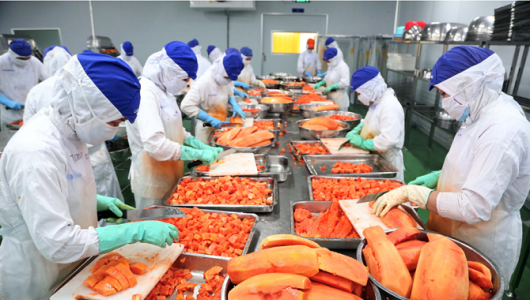 Rau quả Việt khởi sắc tại thị trường EU, hàng chế biến sâu lập kỷ lục mới