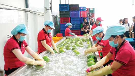 Nông, lâm, thủy sản xuất siêu lớn, khẳng định vai trò 'trụ đỡ' nền kinh tế