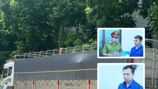 Hưng Yên: Khởi tố, bắt tạm giam 2 người liên quan hơn 18m³ gỗ