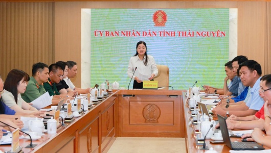 Thái Nguyên tăng tốc chuẩn bị Festival Trà Quốc tế năm 2026
