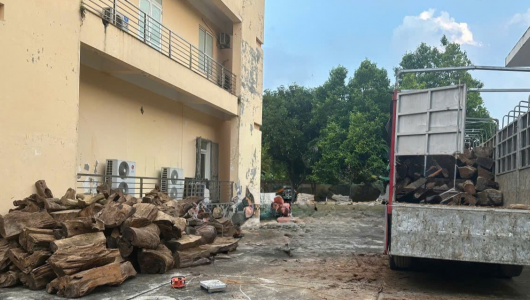 Vụ vận chuyển hơn 18m³ gỗ từ Thanh Hóa ra Hưng Yên: Xác định thuộc nhóm IA
