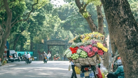 Dự báo thời tiết ngày 9/9: Bắc Bộ ngày nắng, có mưa dông về chiều tối