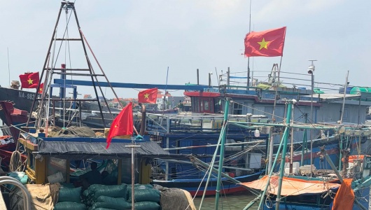 Nghệ An thực hiện nghiêm túc các khuyến nghị về chống khai thác IUU