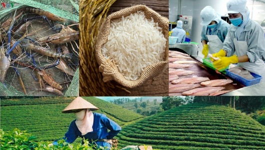 Biến danh tiếng vùng đất thành sức cạnh tranh cho hàng nông sản