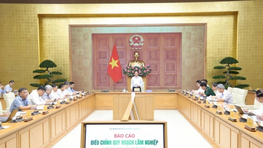 Quy hoạch lâm nghiệp phải giải quyết thực chất sinh kế, để đời sống người giữ rừng tốt hơn
