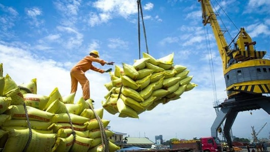 Điều kiện kinh doanh xuất khẩu gạo