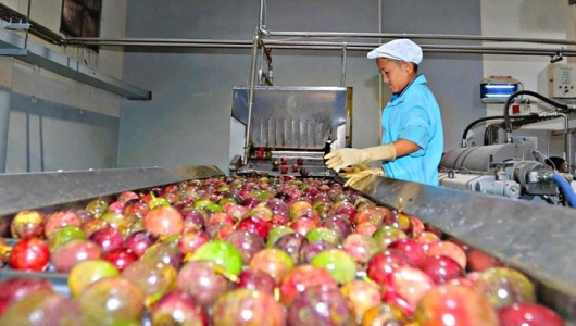 EU siết chặt quy định môi trường, doanh nghiệp Việt cần chủ động thích ứng