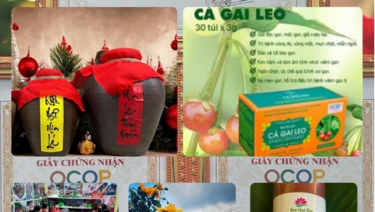 Xây dựng thương hiệu, mở rộng thị trường và gia tăng giá trị sản phẩm OCOP
