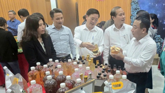 Nghệ An cho ý kiến về tiêu chí nông thôn mới và phát triển sản phẩm OCOP