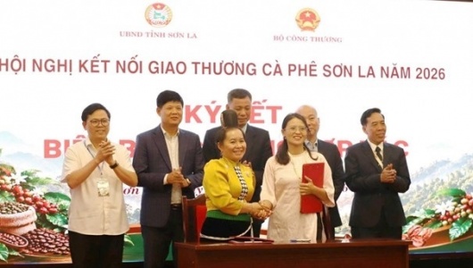 Kết nối giao thương, đưa cà phê Sơn La chinh phục thị trường quốc tế