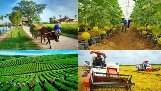 Quy định mới nhất về cơ chế phát triển sản xuất liên kết theo chuỗi giá trị