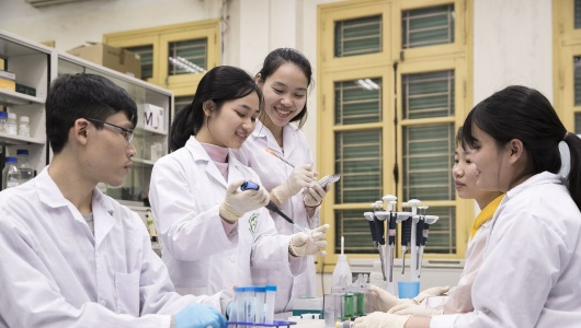 Tập trung thu hút nhân tài, tăng cường kết nối cung - cầu lao động